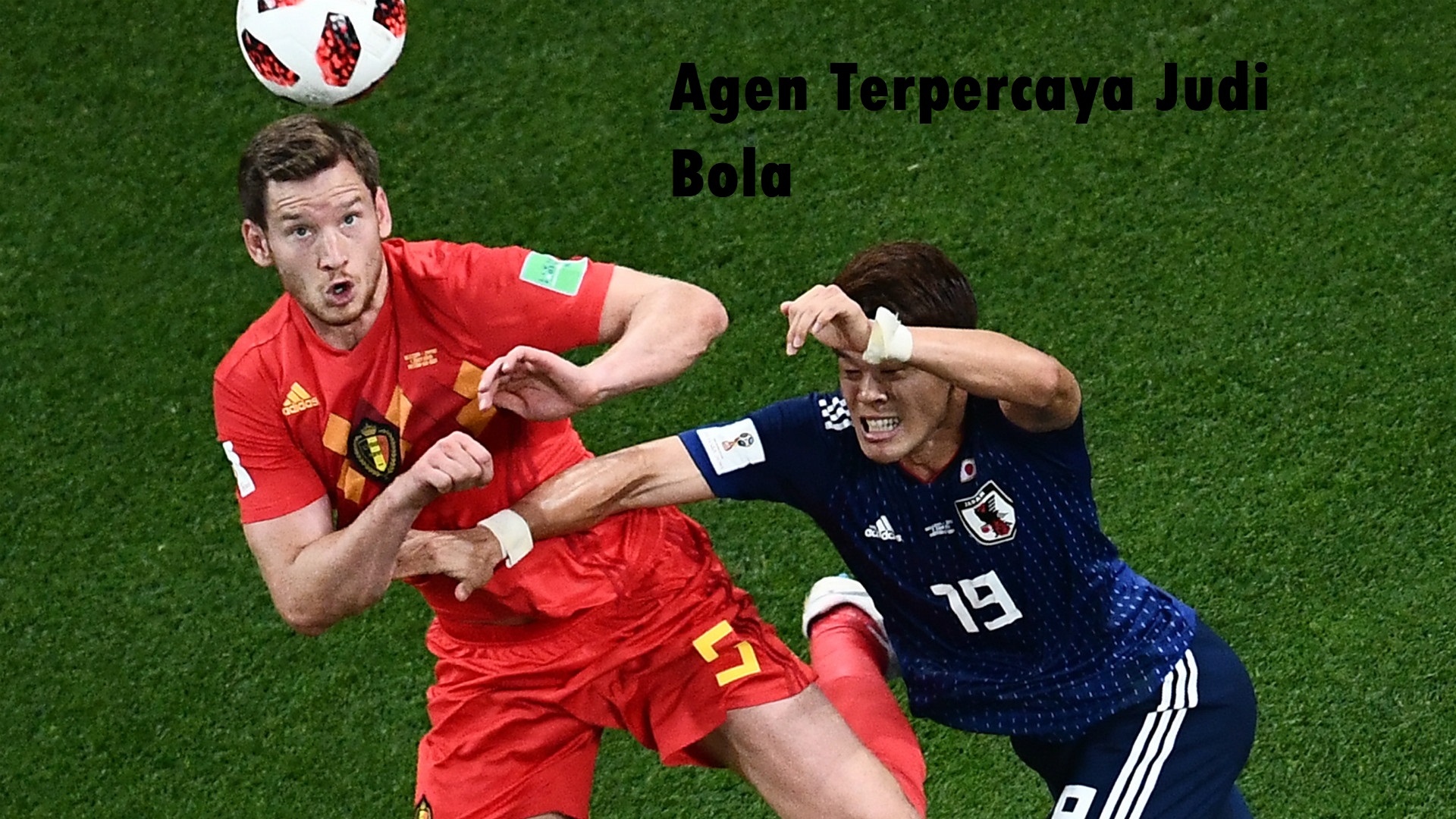 Agen Terpercaya Judi Bola
